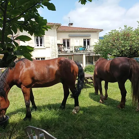 Camping Le Jardin Des Cedres *